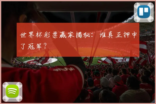 世界杯彩票赢家揭秘：谁真正押中了冠军？