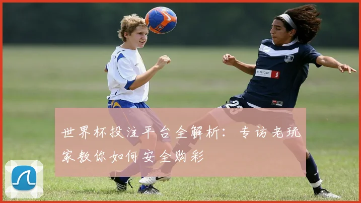 世界杯投注平台全解析：专访老玩家教你如何安全购彩