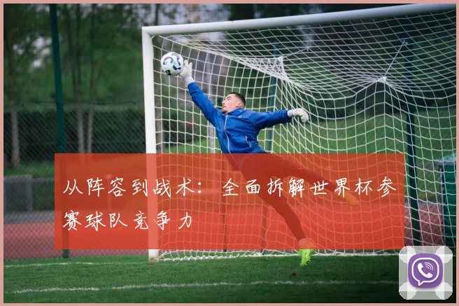 从阵容到战术：全面拆解世界杯参赛球队竞争力