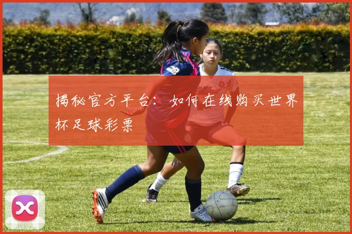 揭秘官方平台:如何在线购买世界杯足球彩票