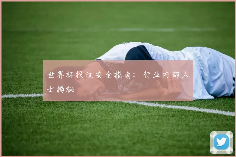 世界杯投注安全指南：行业内部人士揭秘