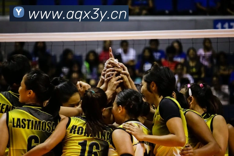 leyu乐鱼官方品牌故事